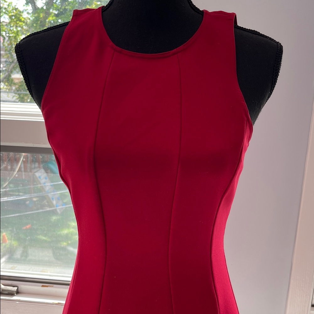 Elegant Red Elizabeth and James Sleeveless Fit and Flare Dress Sz 4 - Picture 3 of 5